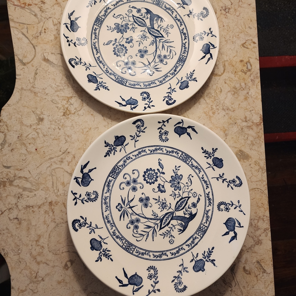 Blue and White Floral Dinner Plates 2 Pieces
